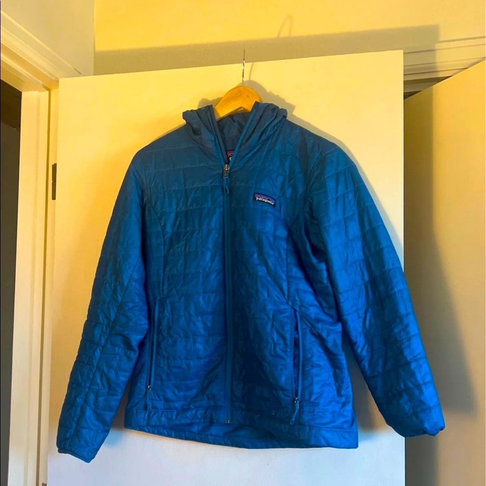 Patagonia Nano Puff hoody